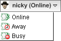 User Online Status User Online Status